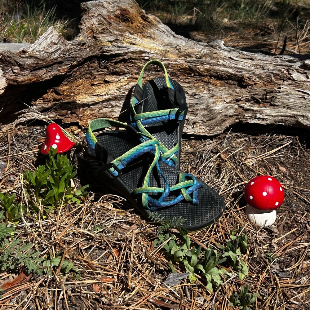 Chaco Women's YAMPA FRESH Sandals - Blue and Green Straps, Sz 8.Adjustable